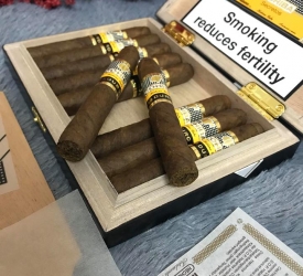 Maduro 5 secretos box 10