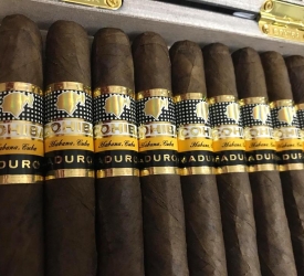 Maduro 5 secretos box 10